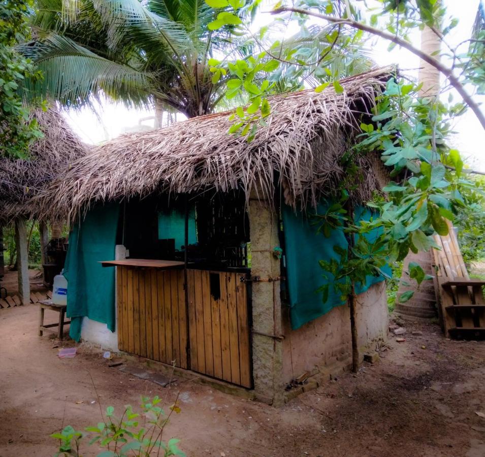 Peace Garden Hostel Auroville Exterior photo