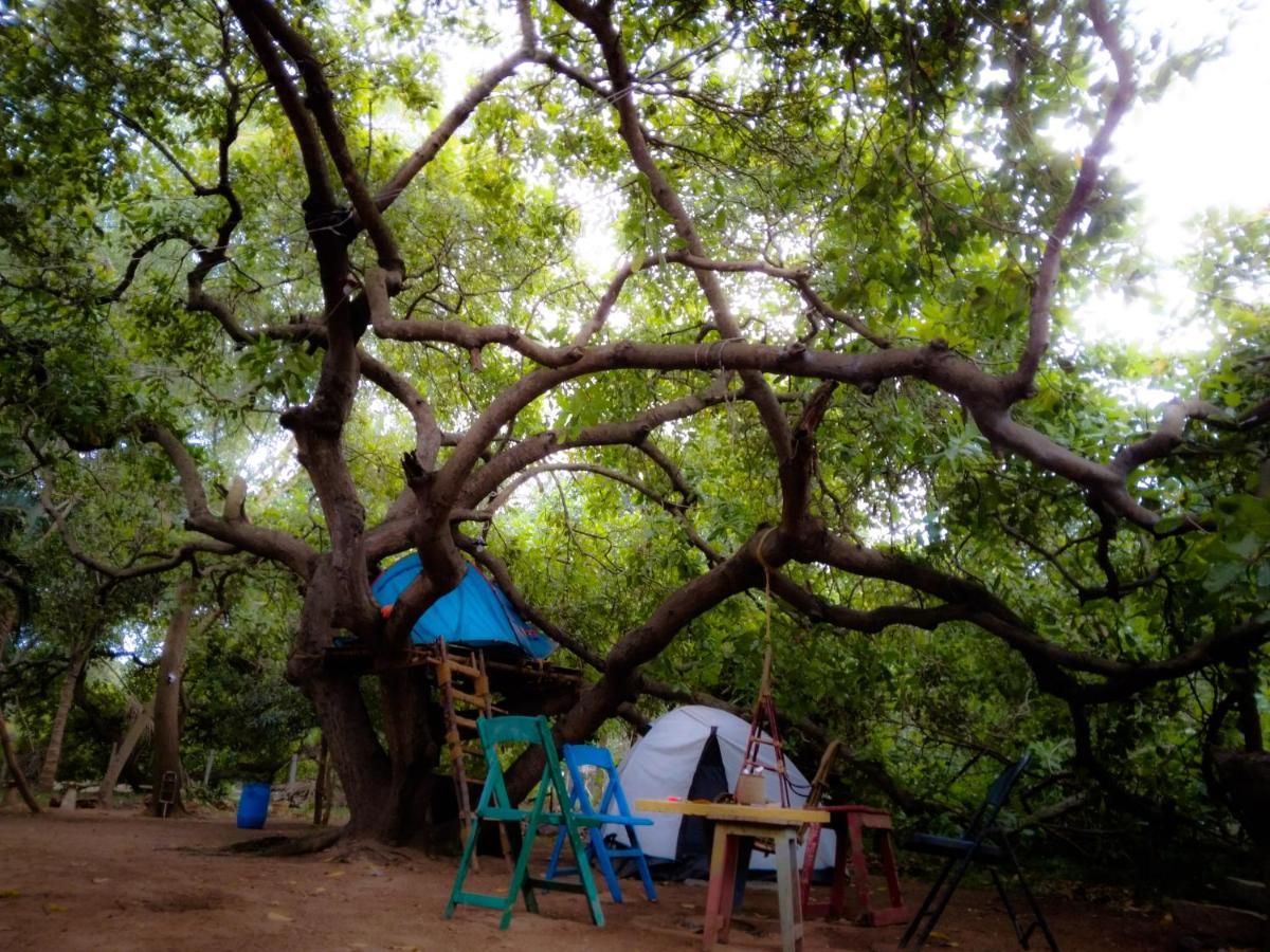 Peace Garden Hostel Auroville Exterior photo